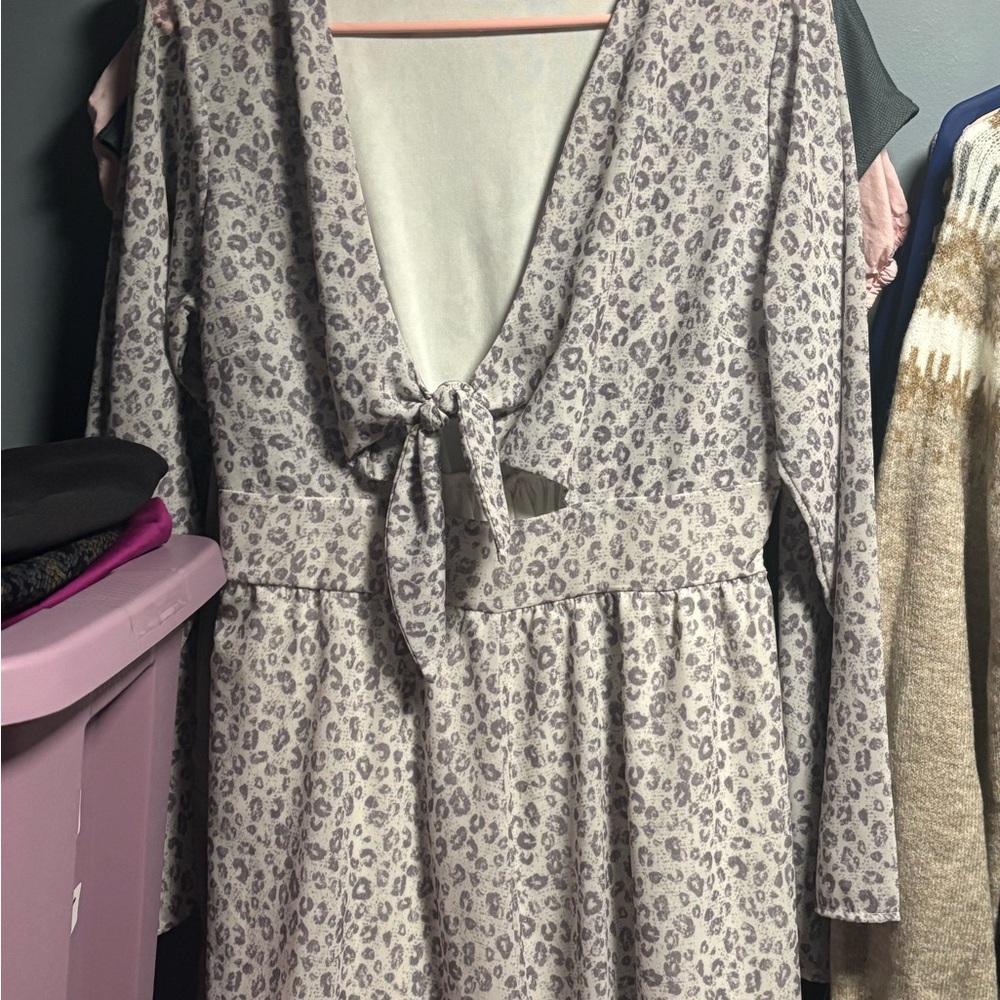 Altar'd State Leopard romper